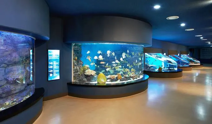Discovering Jeju's Natural Beauty and Unique Attractions: A 3-Day Adventure ytnjv3